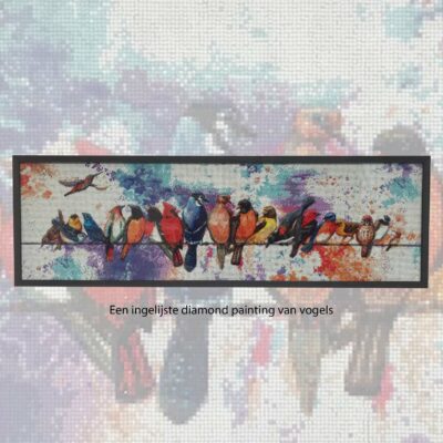 Ingelijste diamond painting met vogels