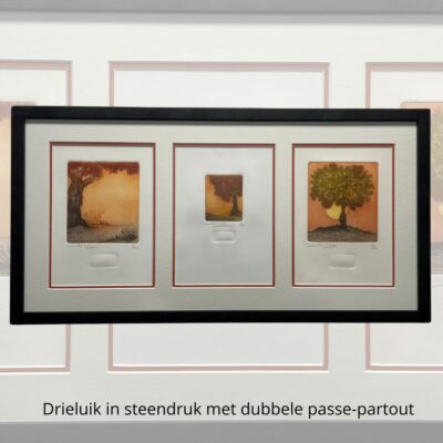Drieluik in een passe-partout
