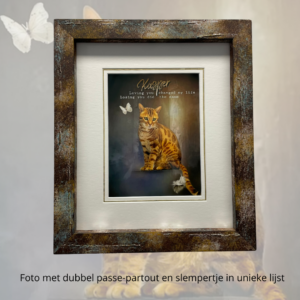 Lijst_slempertje_dubbel_Passepartout