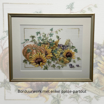 Borduurwerk_in_passepartout
